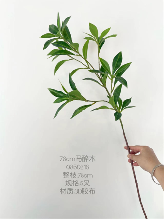 Japanese andromeda greenery leaf