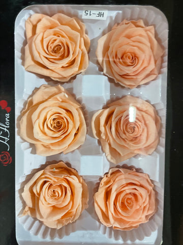 Preserved Rose Head Orange (box of 6)