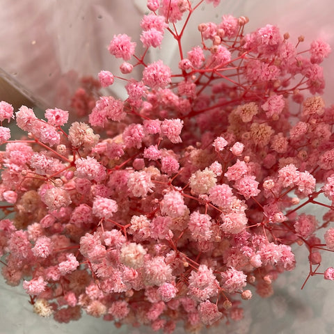 Preserved baby’s breath bunch Peach pink