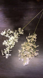 White clove jasmine flower filler Artificial flowers