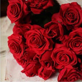 Moist Touch Real Touch Rose Artificial Flower Single Stem Rose (Red)-MOI1