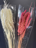 Preserved Wheat Pink