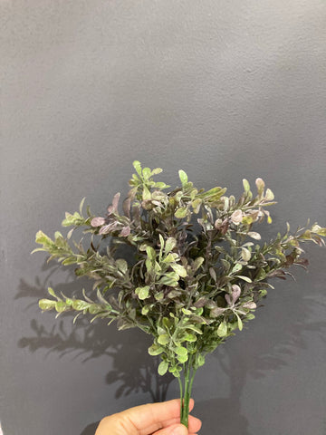 Dark Green boxwood leaf for Wedding home decor