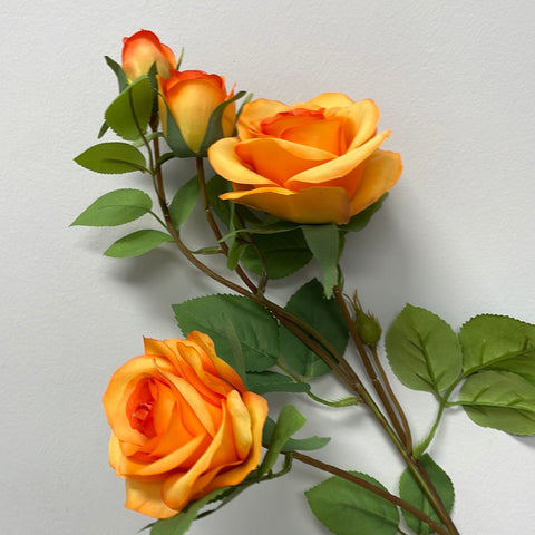 Single Rose Rococo Orange Single Stem RocoCo Rose