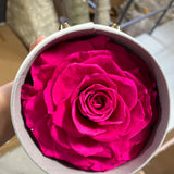 Preserved large hot pink Rose in round box