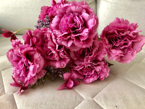 Hot Pink Big stem Carnation Bunch