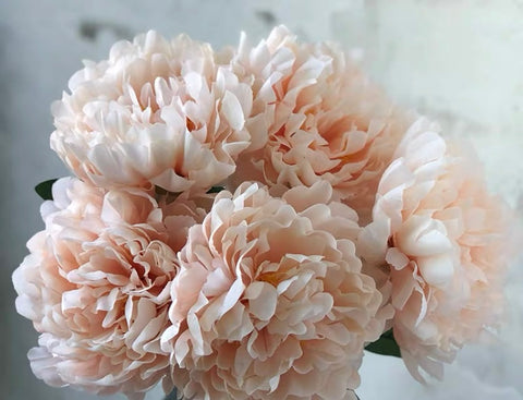 Jumbo Open 5 Head Peony Bunch Blush