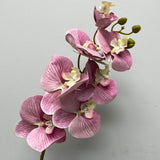 Purple Pink LARGE REAL TOUCH PHALAENOPSIS ORCHID ARTIFICIAL FLOWER