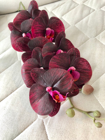 Dark Burgundy/purple PHALAENOPSIS ORCHID real touch