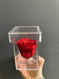 Preserved Rose in Tall Single acrylic box Red (box of 1)