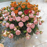 Single stem blush GEM rose spray