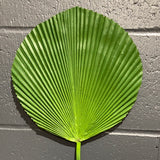 Round Green Palm Leaf (S)
