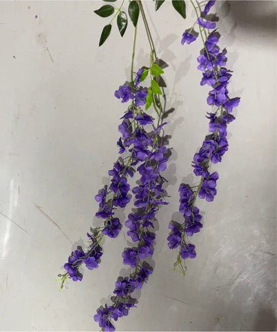 Purple hanging wisteria thin version