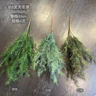 Red Green (right)Chinese asparagus Grass bunch leaf for Wedding home decor