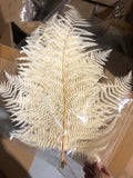 Preserved Bundle of Leather leaf Fern light Cream