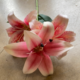 NEW Pink Soft Touch Stargazer Lily