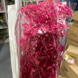 Preserved baby’s breath bunch hot Pink