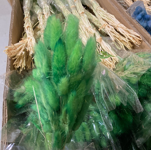 Dried Emerald dark green Lagurus Bunny Tail grass (bundle of 50)