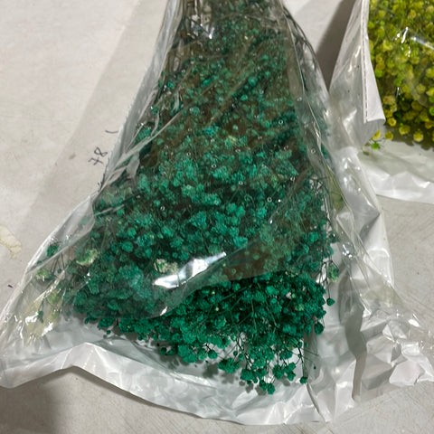 Preserved baby’s breath bunch Emerald