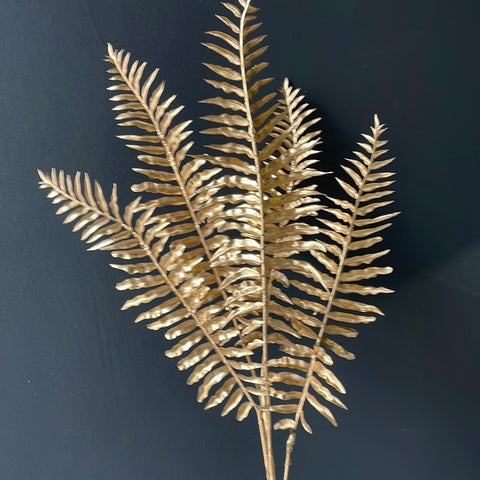 Gold Fern leaf Filler Long Stem Greenery