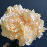 7 HEAD FABRIC ARTIFICIALchampagne PEONIES PEONY BUNCH Salmon