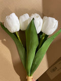 6xMoist/real Touch Tulip (white)