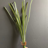 Thin long leaf lily grass Artificial Real touch greenery