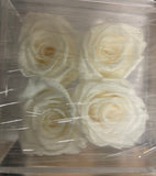 Preserved Rose in acrylic box with drawer Cream/White(box of 4)