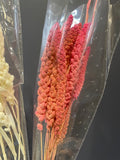 Preserved Wheat Pink