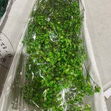 Preserved baby’s breath bunch Green