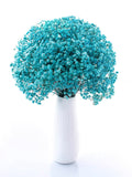 Preserved baby’s breath bunch Light blue Turquoise