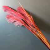 Hot pink Pampas Grass Artificial Flower