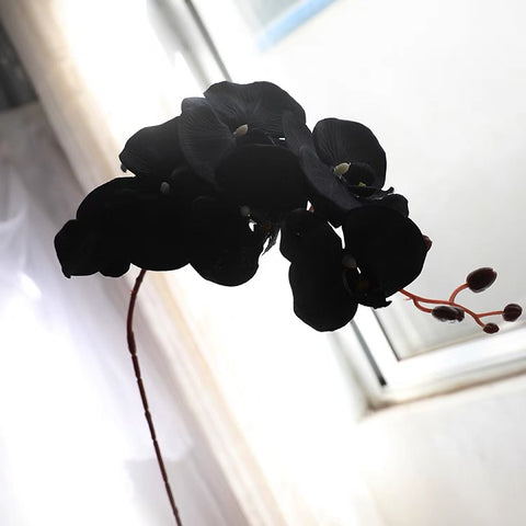 Large Phalaenopsis Orchid (Black) Silk wedding flower