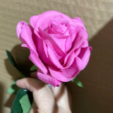 Moist Touch Rose Single Stem Rose (hot Pink)-MOI3