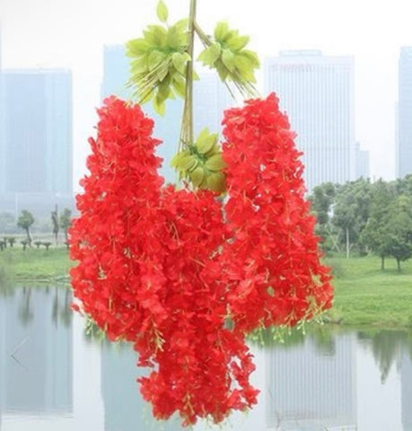 Red hanging wisteria