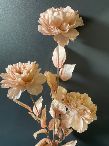 Blush/pink 3 head long stem PEONIES PEONY with leaf single SPray stem coffee/ chocolate (flower in the middle)