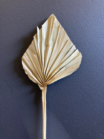 Dried Natural Palm Spade (S)