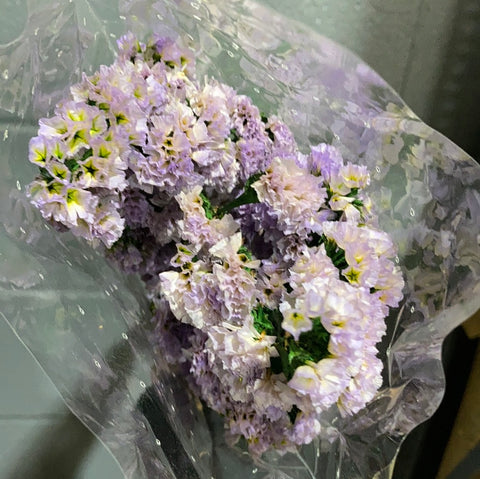 Preserved Lilac Statice forget me not