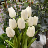 10x Real Touch PU flower Tulip (White)