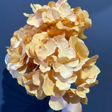 Artificial Flower Orange Hydrangea Bunch 5 head silk