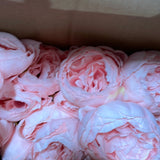 7x Peonies bunch Pink