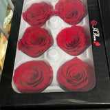 Preserved Rose Head Dark Red (box of 6)