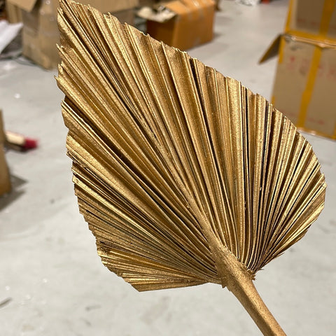 Gold Dried Spear Palm Leaf Anahaw