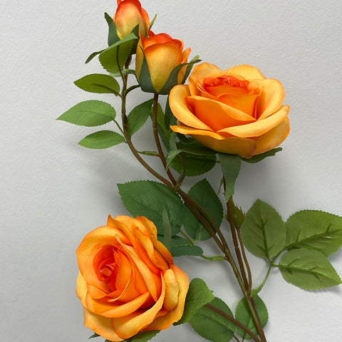 Rococco Roses Orange Single Stem RocoCo Rose