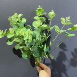 Eucalyptus leaf for Wedding home decor (Green)  EUC1