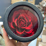 Preserved large red Rose in black round box
