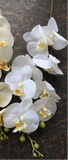 LARGE REAL TOUCH PHALAENOPSIS ORCHID ARTIFICIAL FLOWER WHITE WEDDING FLOWER (white) -REA1