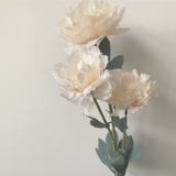 3 head PEONIES PEONY Spray #2 champagne