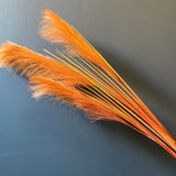 Burnt Orange Pampas Grass Artificial Flower