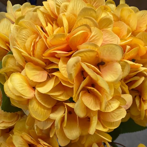 Bright Yellow Hydrangea Bunch 5 head silk